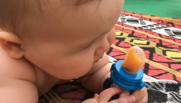 Отчёт по занятию Как кормить малыша летом в Wachanga!