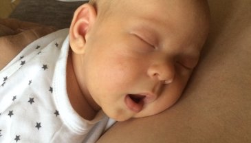 Отчёт по занятию Сон двухмесячного малыша  в Wachanga!