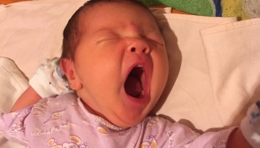 Отчёт по занятию Питание новорожденного в Wachanga!