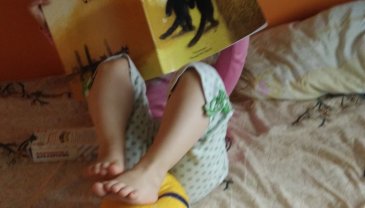 Отчёт по занятию Посмотрите с ребенком книжки-картинки в Wachanga!