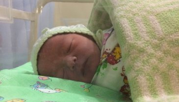 Отчёт по занятию Еда и сон ребенка на первой неделе жизни в Wachanga!