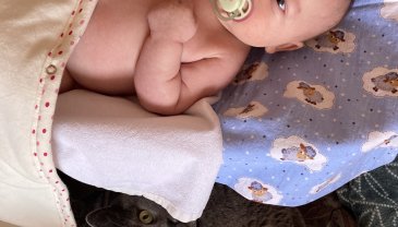 Отчёт по занятию Особенности ухода за кожей малыша в летнее время в Wachanga!