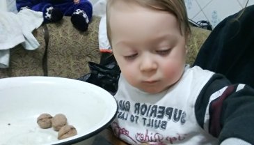 Отчёт по занятию Игра с грецкими орехами в Wachanga!