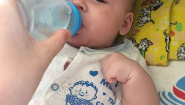 Отчёт по занятию Нужно ли поить малыша водой в жару в Wachanga!