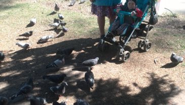 Отчёт по занятию Покормите птиц на прогулке в Wachanga!
