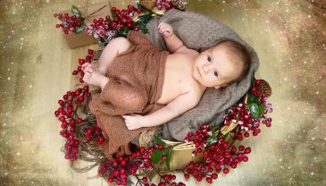 Отчёт по занятию Организуйте профессиональную фотосессию для новорожденного в Wachanga!