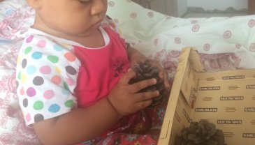 Отчёт по занятию Первая природная коробочка малыша в Wachanga!