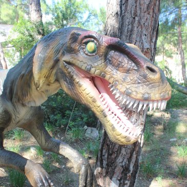 Visit a Dinopark with your kid