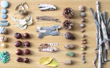 Collection of natural materials