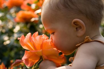 Help your baby learn different scents