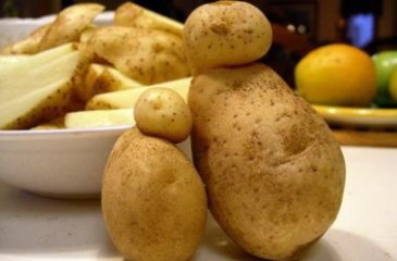 Play with potatoes