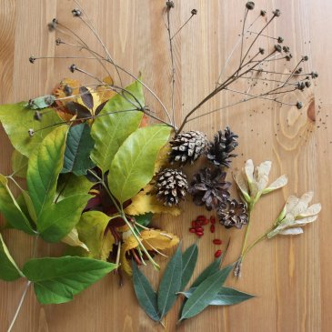Pick up natural materials for autumn crafts with your kid 