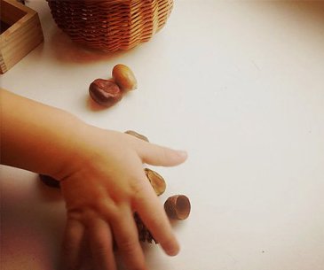 Playing with acorns