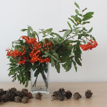 Decorate your home with a rowanberry bouquet