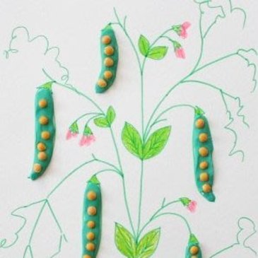 Make the cool craft "Five Peas from a Pod" with your kid 