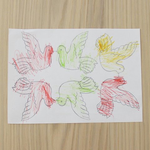 ребенок может раскрасить своих голубей карандашами или краской для поделки 