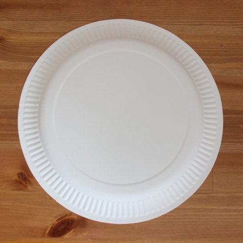 картонная тарелка