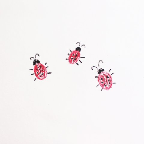 Activity picture for Draw little ladybugs on a flower meadow with your kid in Wachanga