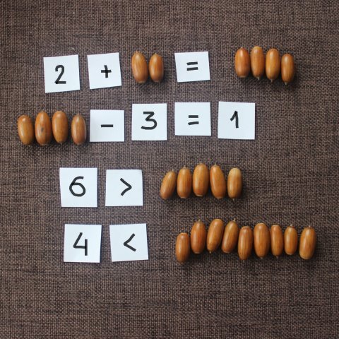 Activity picture for Math games with acorns in Wachanga