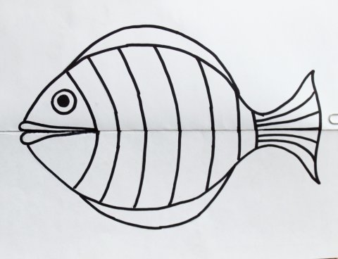рисунок рыбы