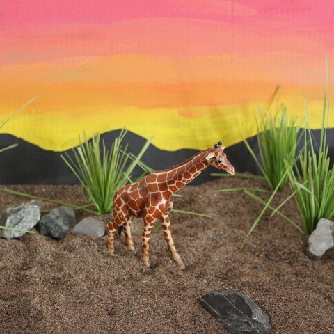 Activity picture for African savannah for your kid in Wachanga