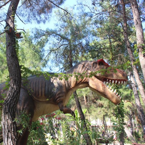 Activity picture for Visit a Dinopark with your kid in Wachanga