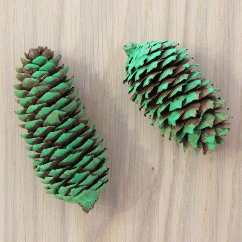 Activity picture for Christmas trees made out of cones in Wachanga