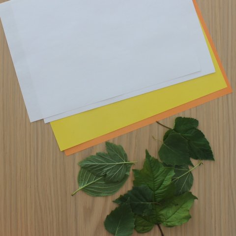 бумага и листья для поделки
