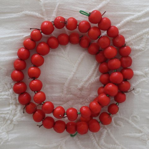 Activity picture for Make a bracelet out of rowanberries with your kid  in Wachanga
