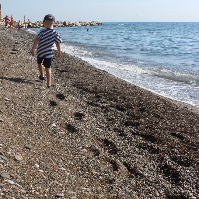 Take a walk with your little one along the seashore