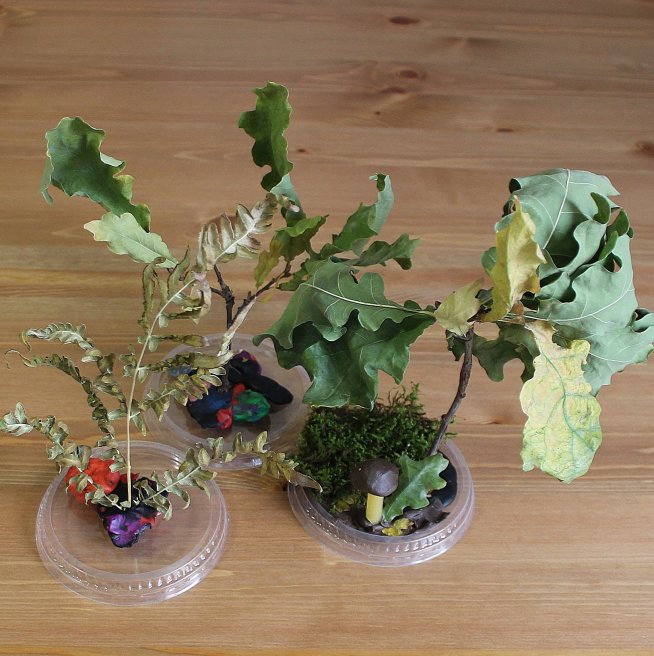 Make a craft called "The Fairy Forest" with your kid 