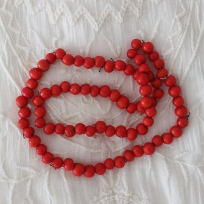 Make rowan necklaces with your kid 