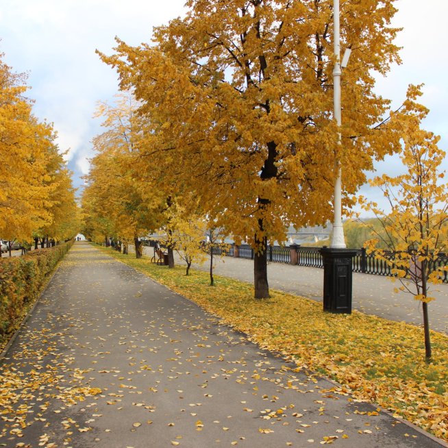 The Autumn Walk