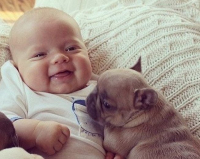 Say Hello to pets with your baby 