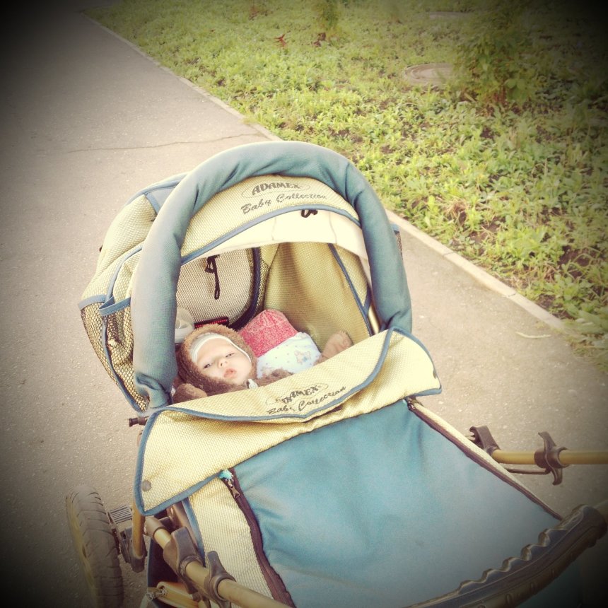 Отчёт по занятию Возьмите малыша на прогулку в Wachanga!