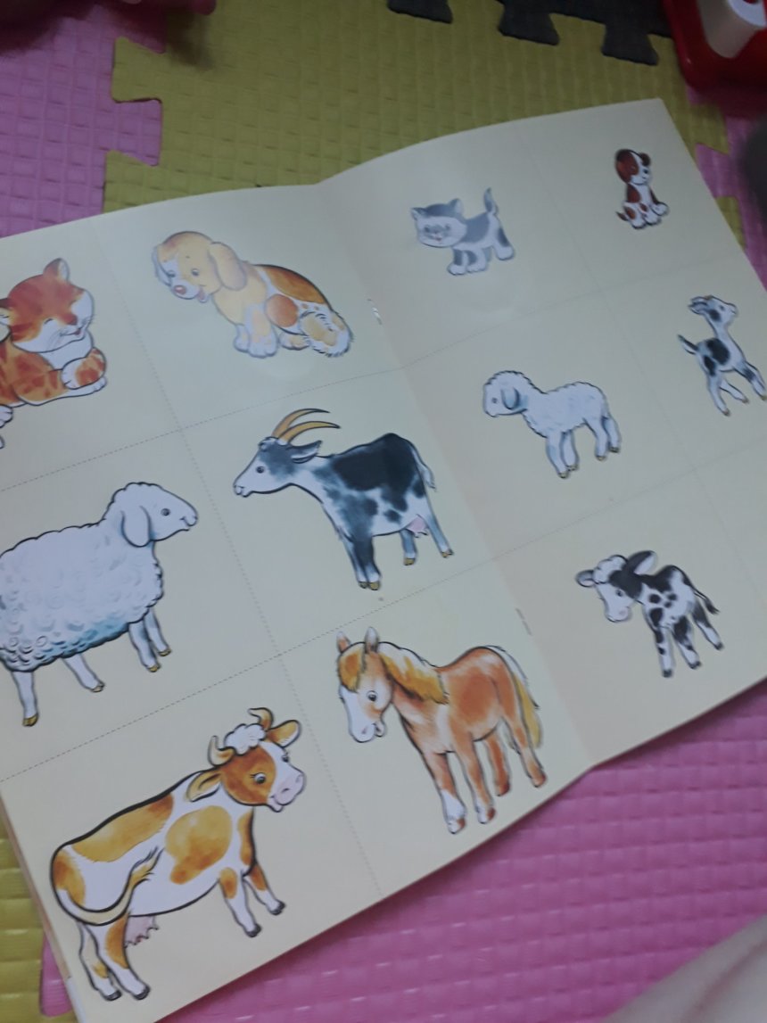 Отчёт по занятию Карточки с животными в Wachanga!