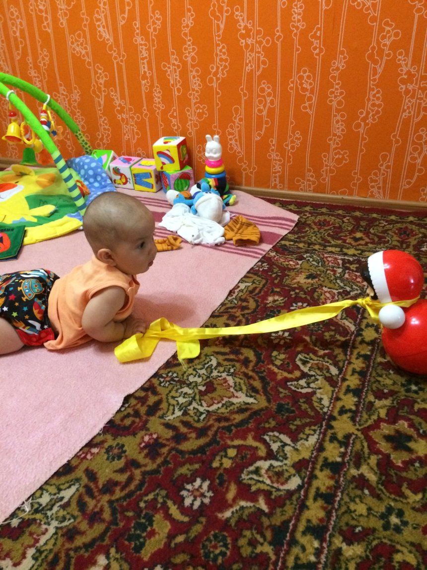 Отчёт по занятию Предложите ребенку поиграть с сюжетными игрушками в Wachanga!
