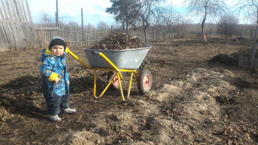 Отчёт по занятию Прогулка с пользой в Wachanga!