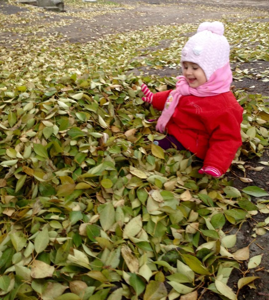 Отчёт по занятию Палитра листьев в Wachanga!