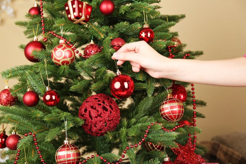 Отчёт по занятию Наряжаем новогоднюю ёлку всей семьей в Wachanga!