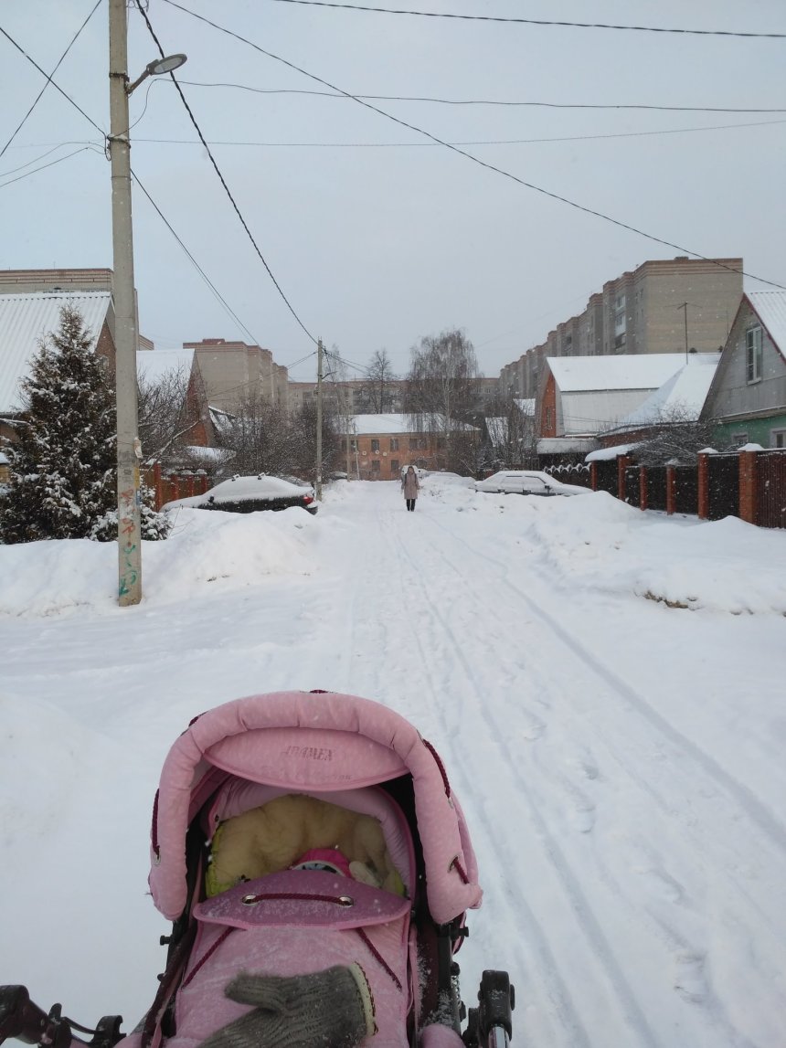 Отчёт по занятию Возьмите малыша на прогулку в Wachanga!