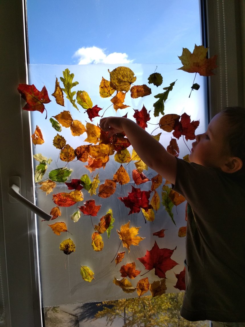 Отчёт по занятию Осенняя аппликация на окне в Wachanga!
