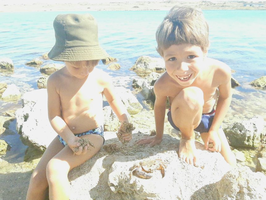 Отчёт по занятию Найдите вместе с ребенком ракушки на морском берегу в Wachanga!