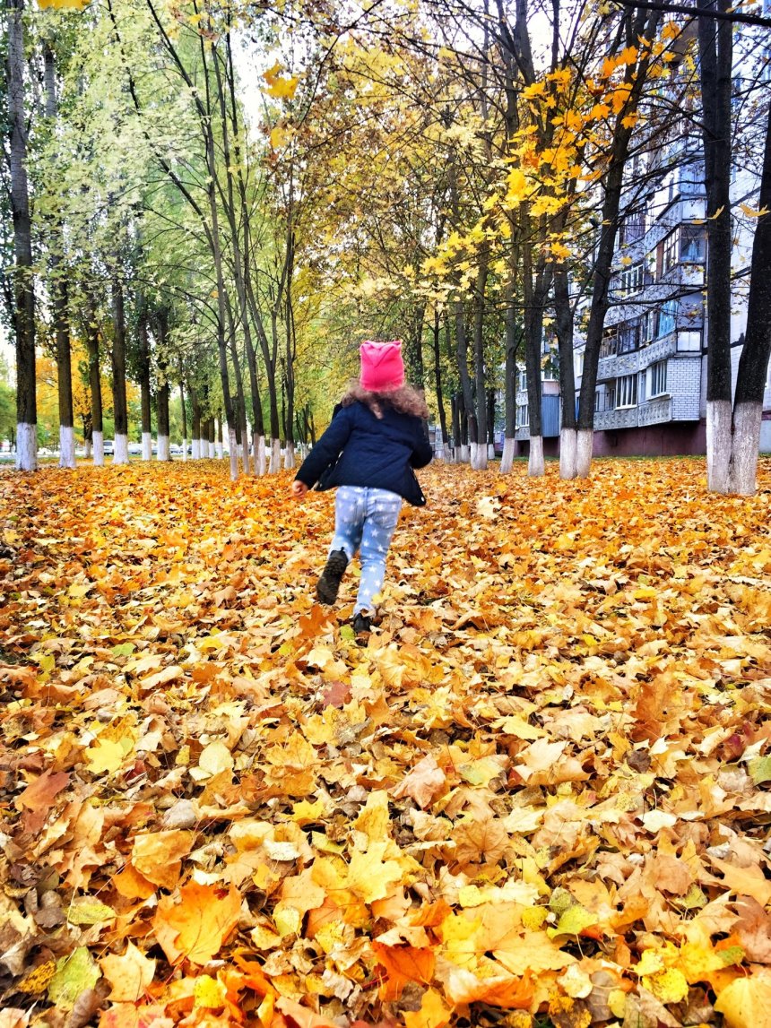 Отчёт по занятию Осенняя прогулка в Wachanga!