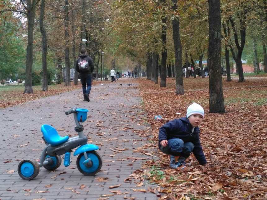 Отчёт по занятию Осенние игры на свежем воздухе в Wachanga!