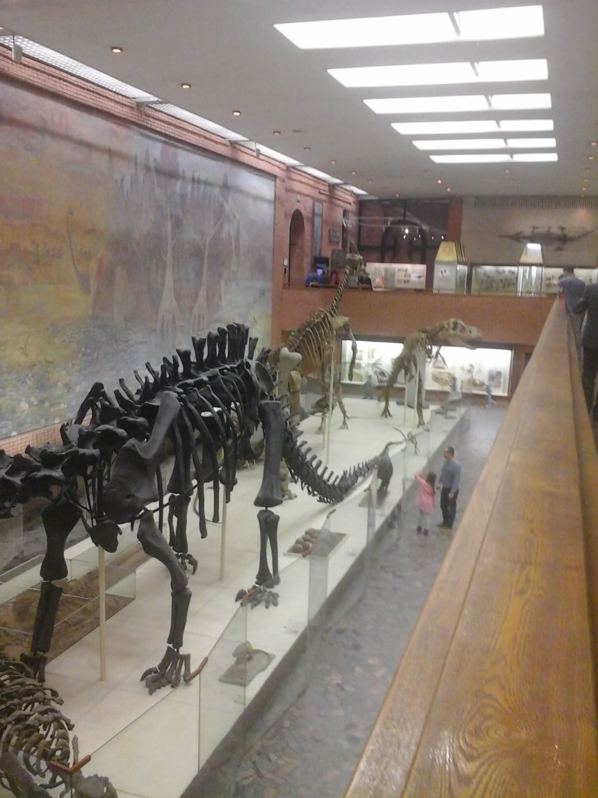 Отчёт по занятию Сходите с ребёнком в палеонтологический музей в Wachanga!