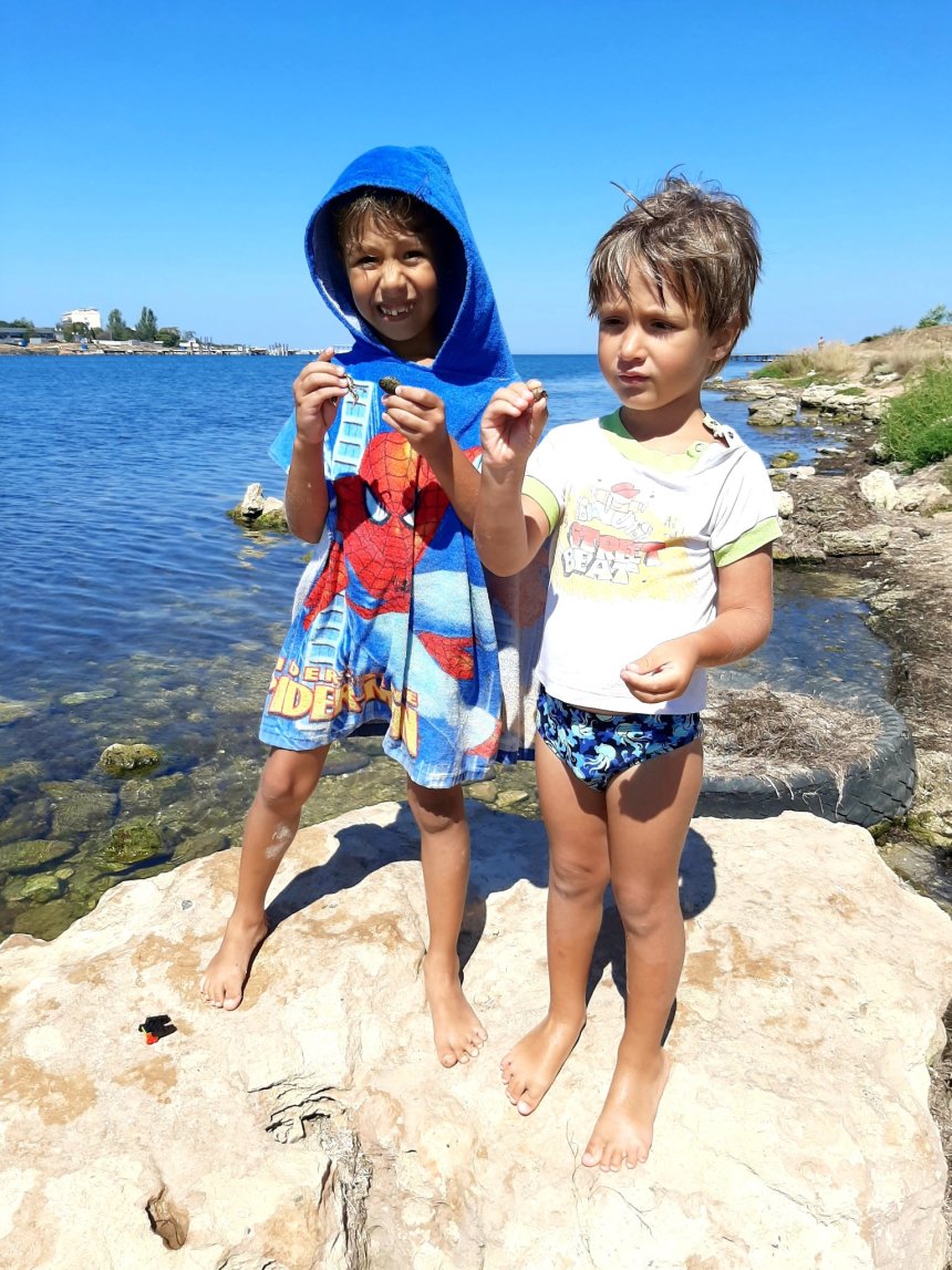 Отчёт по занятию Найдите вместе с ребенком ракушки на морском берегу в Wachanga!