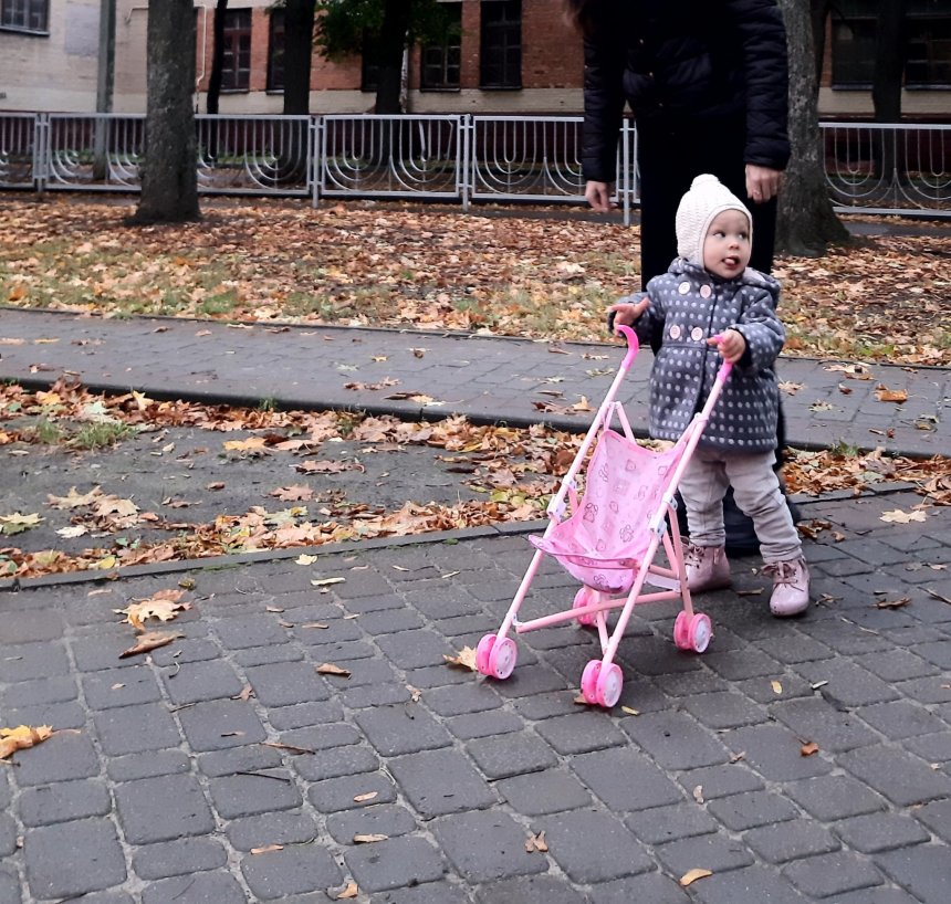 Отчёт по занятию Предложите малышу покатать кукольную коляску в Wachanga!