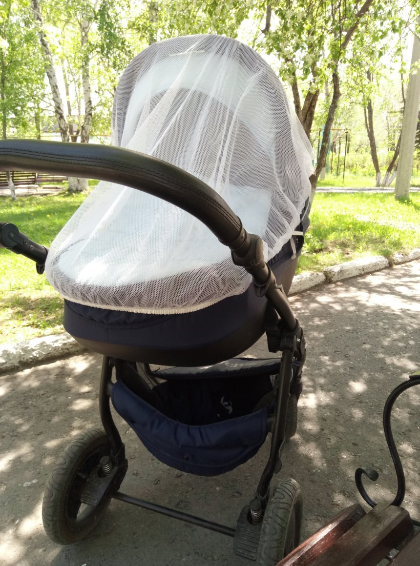 Отчёт по занятию Возьмите малыша на прогулку в Wachanga!
