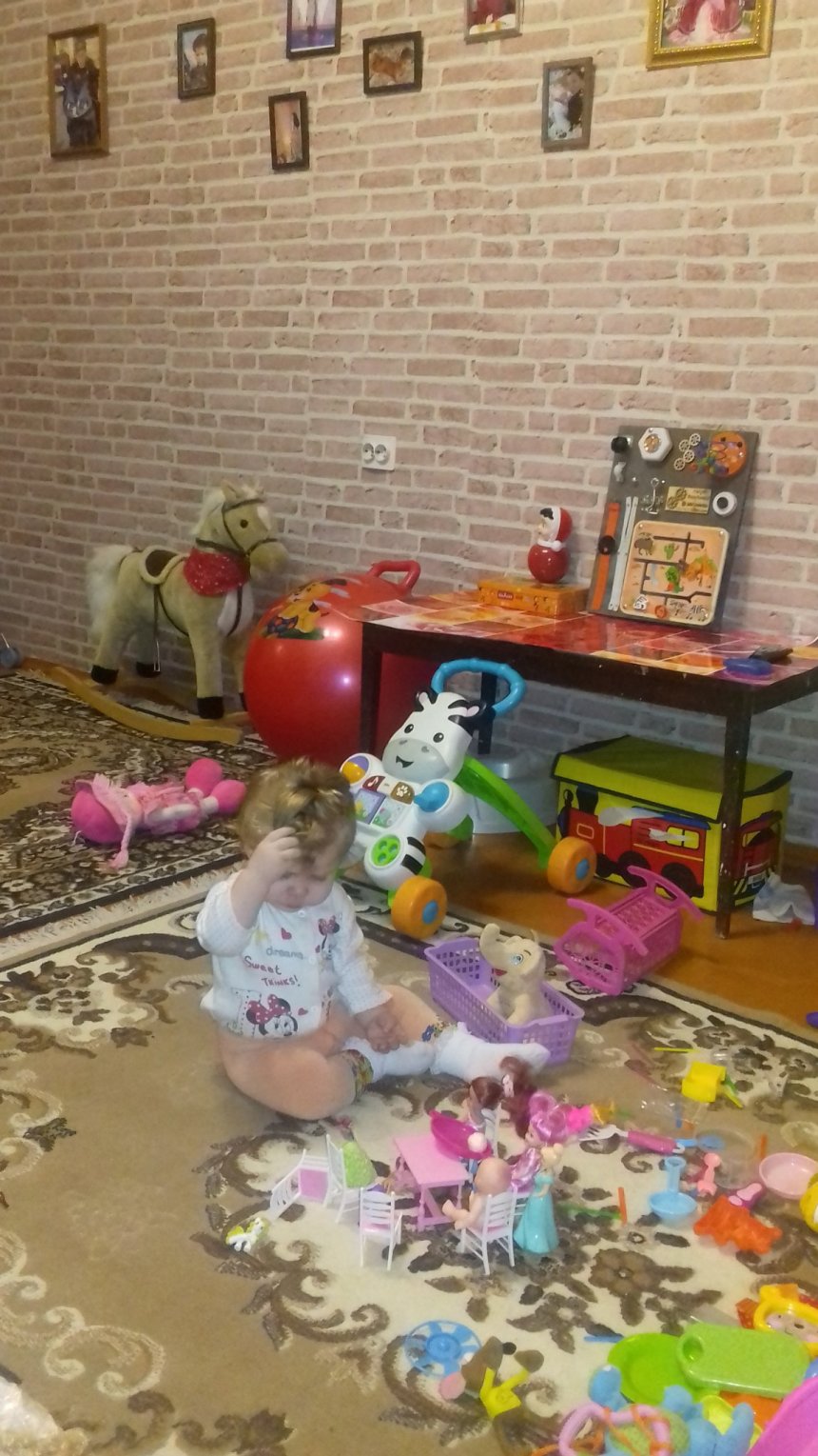 Отчёт по занятию Сколько игрушек нужно ребёнку в Wachanga!